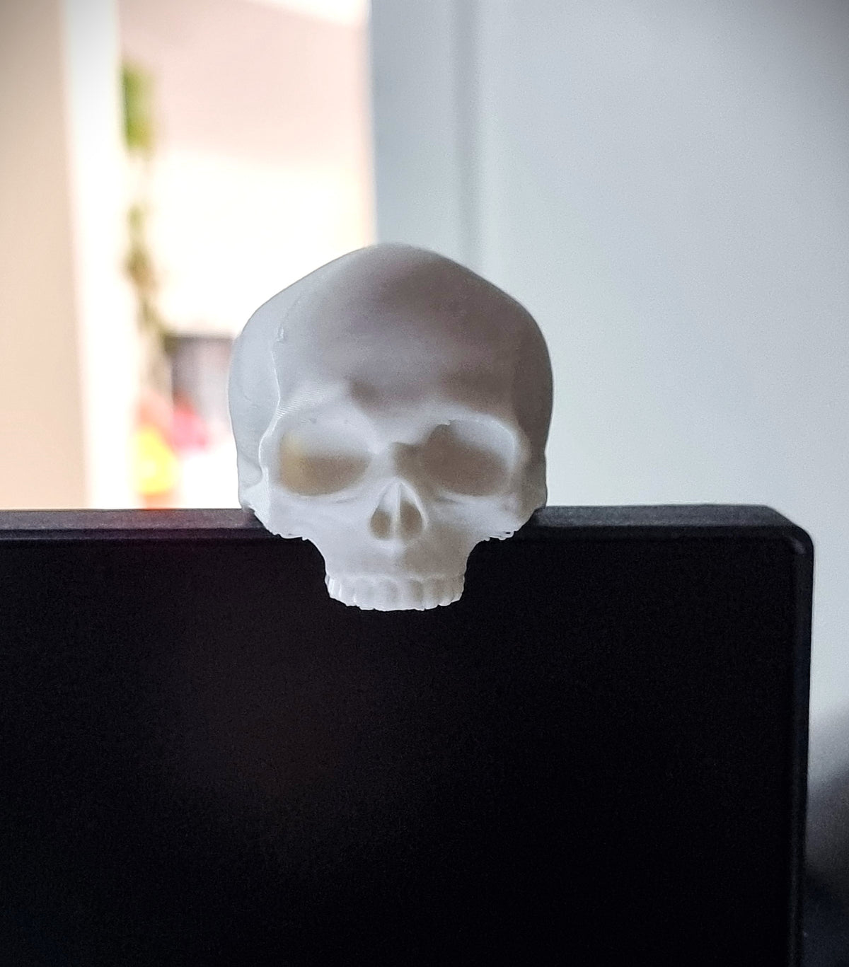 Monitor Skull