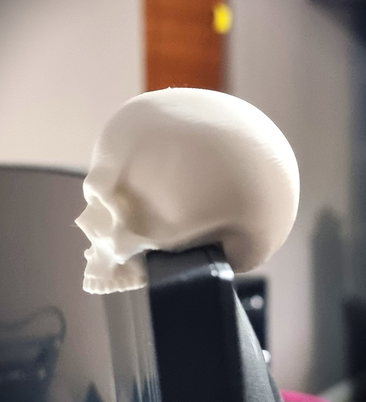 Monitor Skull